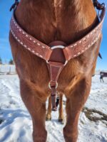 white buckstitch breast collar belt style headstall split ear western headstall (2)