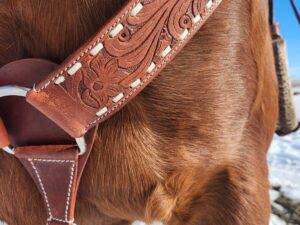 white buckstitch breast collar belt style headstall split ear western headstall (5)