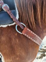 white buckstitch breast collar belt style headstall split ear western headstall (8)