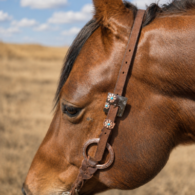 1 copper mesa one ear horse tack metal ring