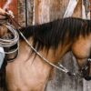 Cowpuncher Sliding One Ear Headstall With Tooling - view 3