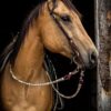 Cowpuncher Sliding One Ear Headstall With Tooling - view 2