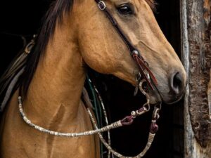 Western Headstall Leather Tack Dog collar western horse stuff (23)