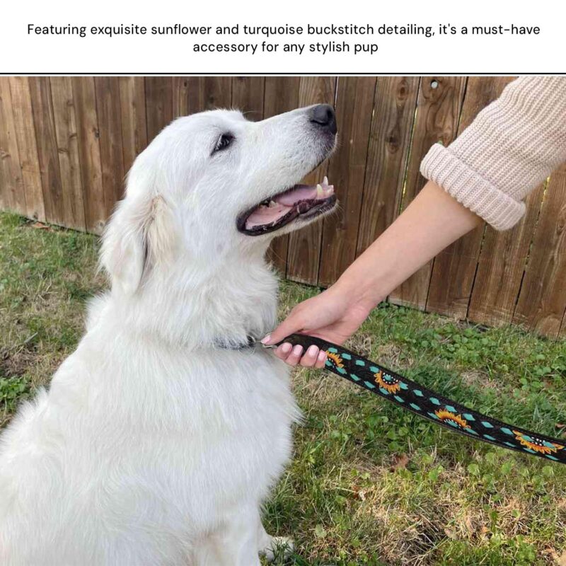 A fluffy white dog sits on grass, looking up happily. A person's arm extends from the right, holding a colorful Leather Leash- Sunflower Turquoise Buckstitch. Complementing leather dog collars are also available. A wooden fence forms the background. Text above highlights the leash's stylish features.