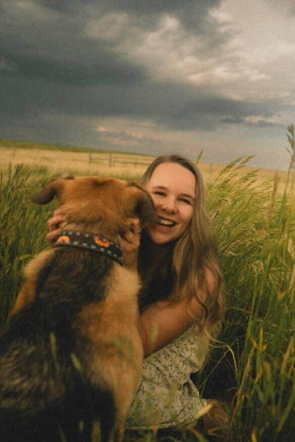western dog collar crafted with leather sunflower dog collars