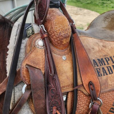 20240514 180542 resized