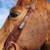 antique leather headstall western bridle tooled unique bridle leather horse tack (12)