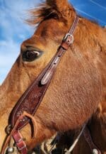 antique leather headstall western bridle tooled unique bridle leather horse tack (12)