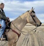 Person riding a beige horse on a dirt road under a partly cloudy sky. The rider, wearing a green jacket and blue jeans, appears to be looking to the left. Both horse and rider, equipped with riding gear including a Red Buckstitch-Breast Collar, move amidst open fields stretching to the horizon.