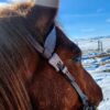 Classic Rose Sliding One Ear Headstall - Rose Gold Hardware - view 3