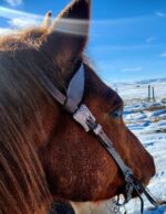 LEather rose gold western headstall bridle classic rose (4)