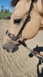 Leather noseband western tiedown leather tiedown noseband with buckstitch western horse tack ranch hand tack (20)