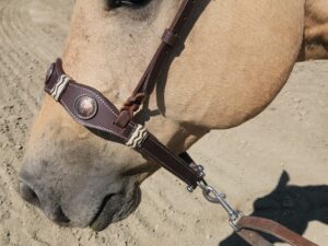 Leather noseband western tiedown leather tiedown noseband with buckstitch western horse tack ranch hand tack (20)