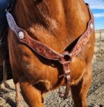 A close-up of a brown horse wearing an intricately designed leather breast collar decorated with engraved silver conchos. The horse is standing outdoors on a dirt path with a dry, grassy landscape and a barbed wire fence in the background.