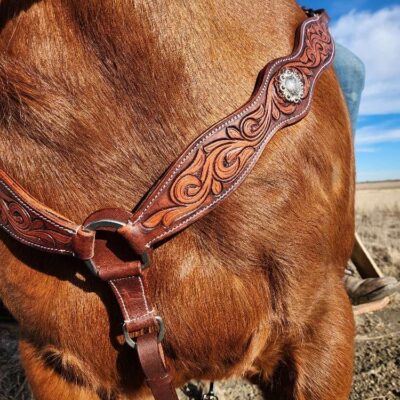 antique leather headstall western bridle tooled unique bridle leather horse tack (9)