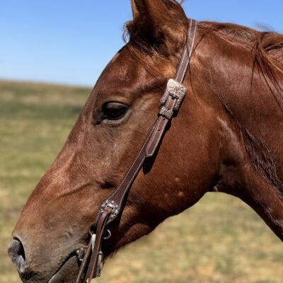 classic rose gold headstall western bridle