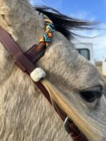 Close-up of a light-colored horse's head with its eye partially visible. The horse is wearing a leather bridle and a colorful, braided headpiece with intricate beadwork patterns. The background shows a clear sky and some indistinct objects.