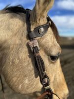 A light brown horse with a black and brown bridle featuring decorative silver conchos and an ornate buckle is shown in close-up. The background is a blurred outdoor landscape with blue sky and clouds.