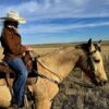 A person wearing a brown jacket, jeans, and a white cowboy hat is riding a tan horse in an open grassy field under a blue sky with wispy clouds. The person is holding the reins and looking to the side.