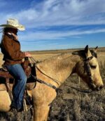 A person wearing a brown jacket, jeans, and a white cowboy hat is riding a tan horse in an open grassy field under a blue sky with wispy clouds. The person is holding the reins and looking to the side.