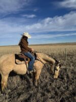 A person wearing a brown jacket and a cowboy hat rides a tan-colored horse in a vast, open field under a bright blue sky with scattered clouds. The horse is grazing while the rider looks down.