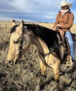 A person wearing a brown jacket, jeans, and a white cowboy hat sits on a brown horse in an open field. The person is holding the reins, and both the horse and rider are facing to the left. A fence and distant horizon are visible in the background.