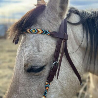 Close-up of a horse's head wearing a colorful beaded browband and leather bridle. The horse's eyes are partially closed, and its mane falls gently over its forehead. The background shows an outdoor, blurred scenery with a partly cloudy sky.