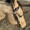 Rancher Rawhide - One Ear Leather Headstall