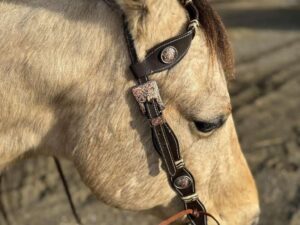 A close-up side view of a light brown horse wearing a bridle with decorative metal accents. The background is an outdoor setting with a dirt path and blurry landscape, indicating an open field or trail area. The sky is partly cloudy with patches of blue visible.