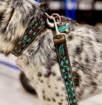 ranch hand dog collars leather dog collar small medium leather blue teal turquoise buckstitch