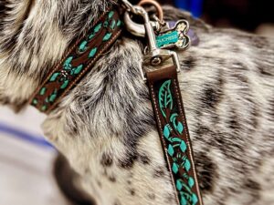 ranch hand dog collars leather dog collar small medium leather blue teal turquoise buckstitch