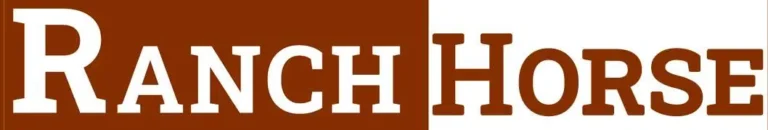 Bold text "Ranch Horse" written in white with a unique design. "RANCH" is displayed in a large, prominent font on a brown background, while "HORSE" is written in brown on a white background. The text has a clean and rustic appearance associated with western themes.