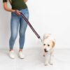 Leather Leash - Pink Sunflower - view 3