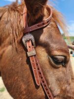 BROWN BUCKSTITCH HEADSTALL