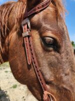 BROWN BUCKSTITCH HEADSTALL