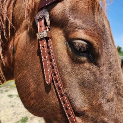 BROWN BUCKSTITCH HEADSTALL