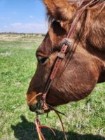 BROWN BUCKSTITCH HEADSTALL