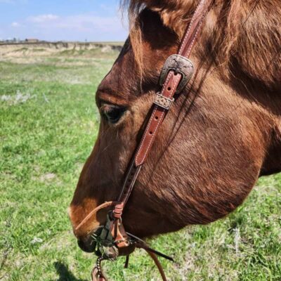 BROWN BUCKSTITCH HEADSTALL