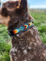 A close-up side view of a dog wearing a colorful, beaded collar. The collar features a geometric pattern in vibrant colors, including blue, red, yellow, and black. The dog's fur is a mix of brown, white, and black, and it stands outdoors on green grass.