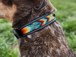 A close-up side view of a dog wearing a colorful, beaded collar. The collar features a geometric pattern in vibrant colors, including blue, red, yellow, and black. The dog's fur is a mix of brown, white, and black, and it stands outdoors on green grass.