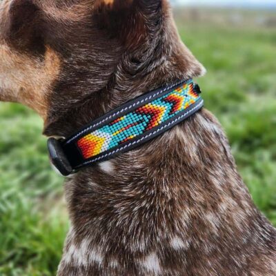 A close-up side view of a dog wearing a colorful, beaded collar. The collar features a geometric pattern in vibrant colors, including blue, red, yellow, and black. The dog's fur is a mix of brown, white, and black, and it stands outdoors on green grass.