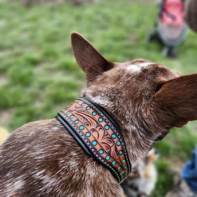 A dog collars western unique dog collars flowers dickehad funny collars for dogs for sale great gift leather (62)