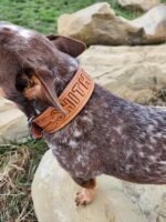 A small dog with a brown and white speckled coat is standing on a rock. The dog is wearing a tan leather collar with the name "SMITH" engraved on it. The background includes additional rocks and some grassy areas.