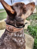 Side profile of a brown dog with a speckled coat, wearing a textured leather collar with an embossed design and a circular metal emblem. The dog is sitting on a rocky surface with green grass and a cloudy sky in the background.