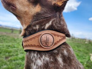 A brown and white dog with pointed ears wears a tan leather collar adorned with an intricate embossed medallion. The dog looks upward, standing against a backdrop of green grass and a partly cloudy blue sky.