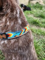 Close-up of a dog's neck showing a colorful, beaded collar with geometric patterns in blue, yellow, red, and black. The dog's brown and white fur is partially visible, and the background consists of green grass with a blurry black object in the distance.