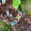 Close-up view from above of a brown and white dog wearing a colorful beaded collar, with a person in jeans and an open green bag next to it. The collar features an intricate geometric pattern in bright orange, blue, yellow, and red.