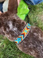 Close-up view from above of a brown and white dog wearing a colorful beaded collar, with a person in jeans and an open green bag next to it. The collar features an intricate geometric pattern in bright orange, blue, yellow, and red.