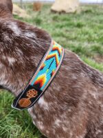 A close-up of a dog wearing a colorful beaded collar with intricate patterns in blue, orange, yellow, and red. The collar features a small leather patch with an engraved flower and is set against a background of grass and a rock.