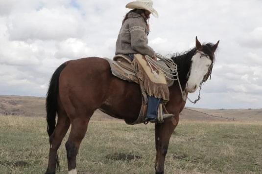 A person wearing a cowboy hat and a heavy jacket sits on a brown and white horse in a grassy field with gently rolling hills and a cloudy sky in the background. The horse has a saddle and a rope tied to it.